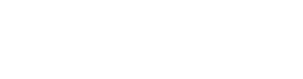 Logo_Nachbau_Diel_weiss